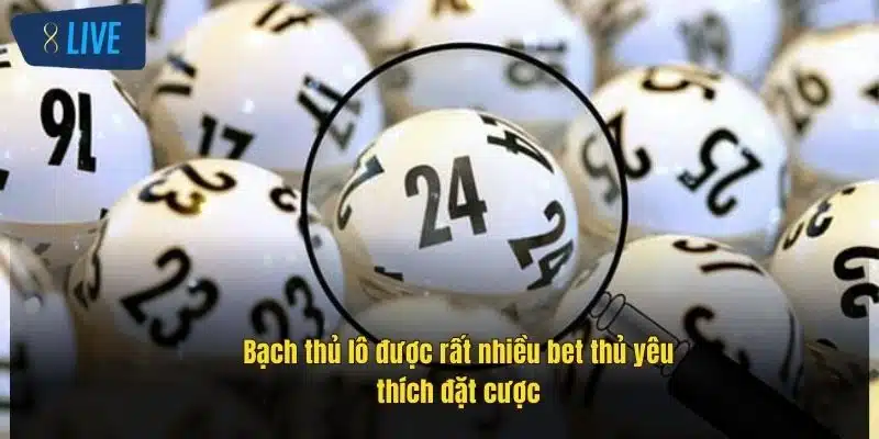 Bạch Thủ Lô Là Gì? Share Cách Chơi Hiệu Quả Tại 8Live 2 bach-thu-lo-duoc-rat-nhieu-bet-thu-yeu-thich-dat-cuoc